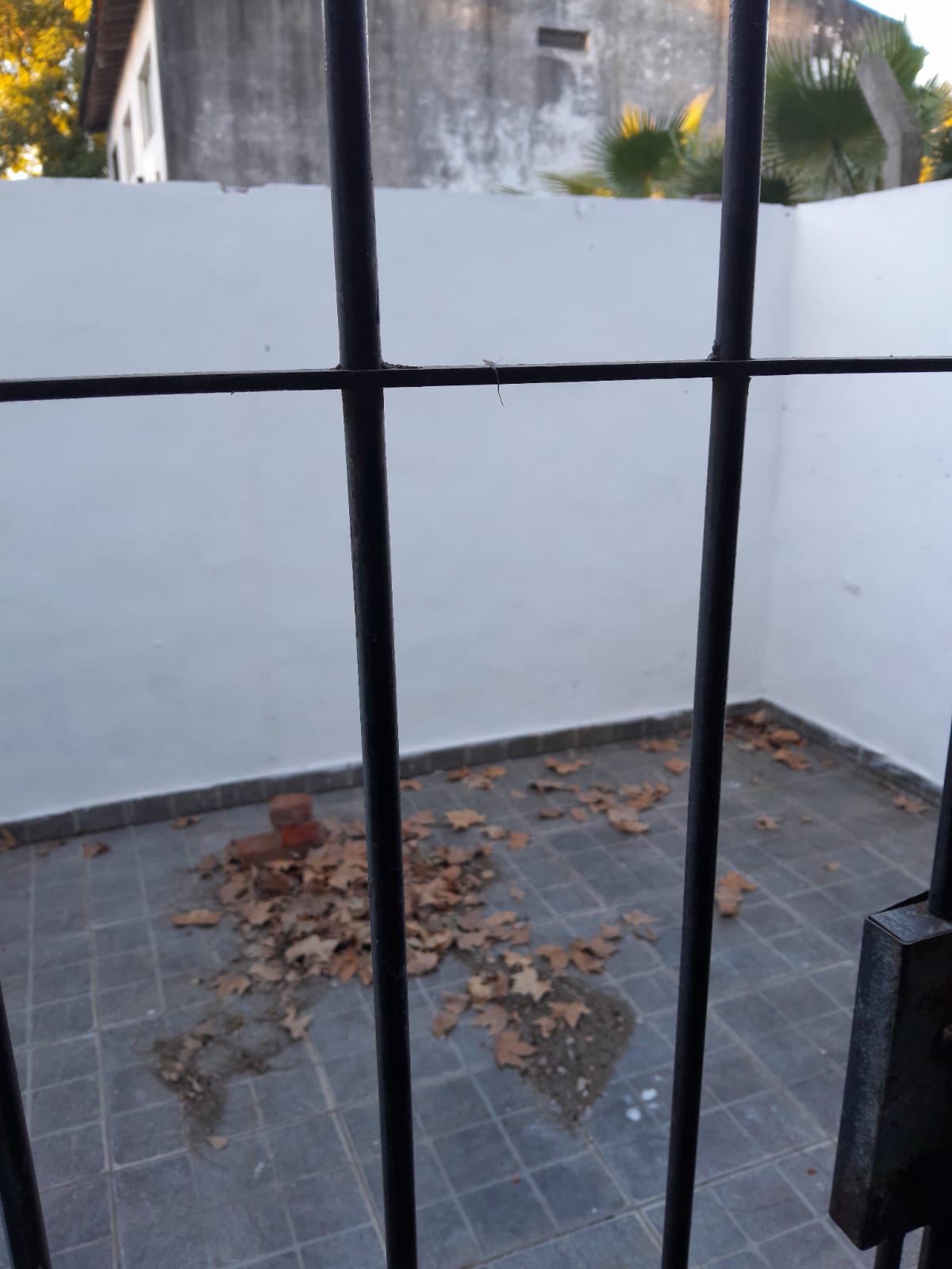 Imagen 7