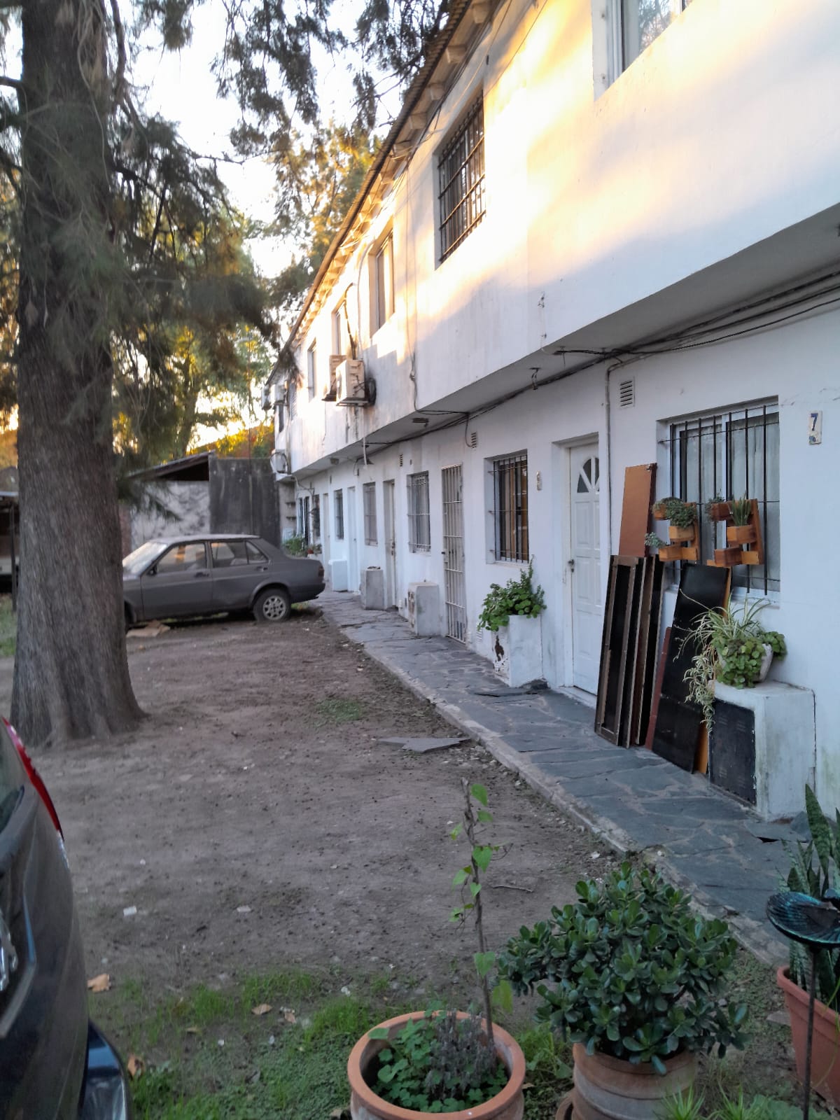 Imagen 10
