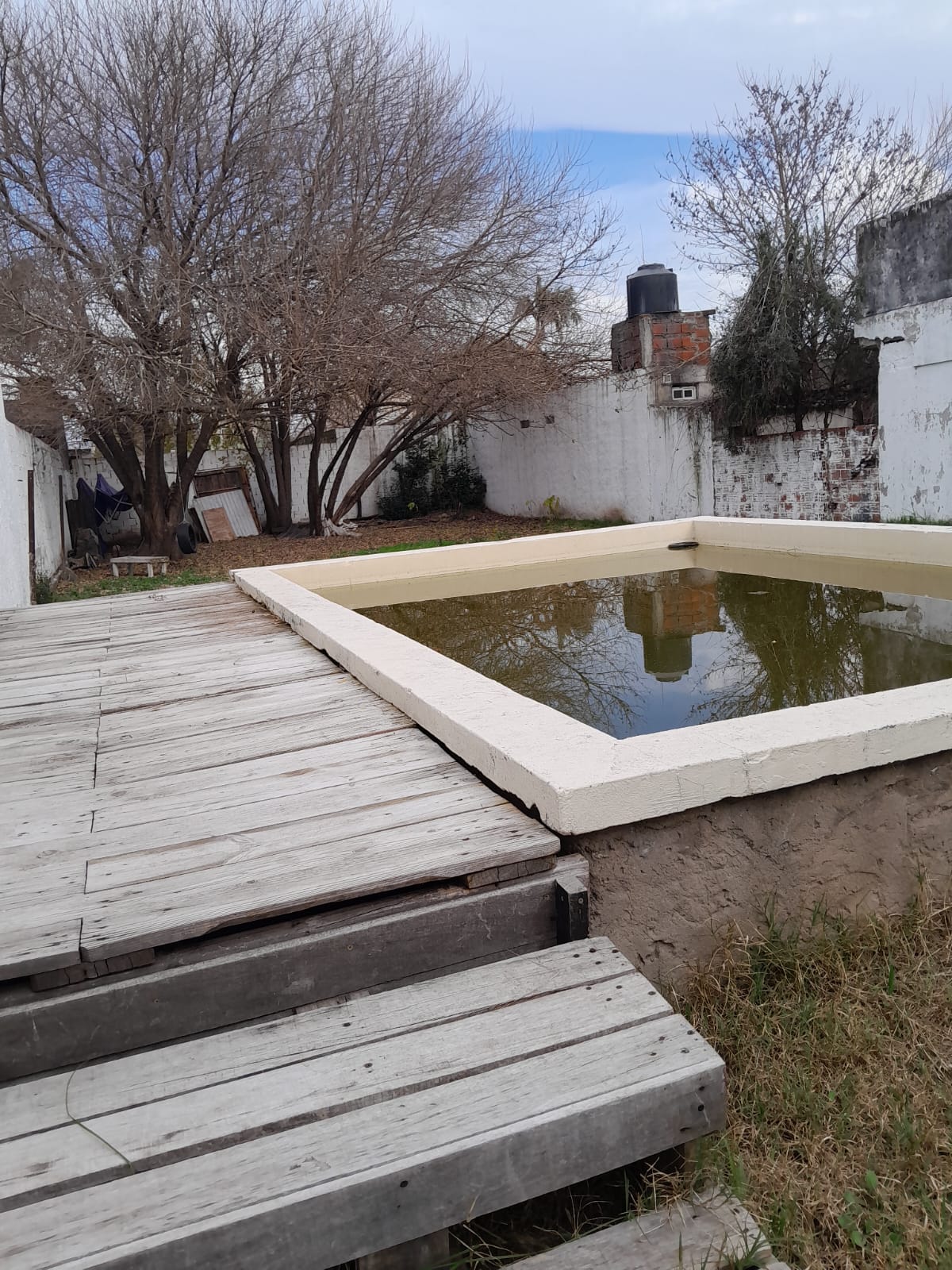 Imagen 14
