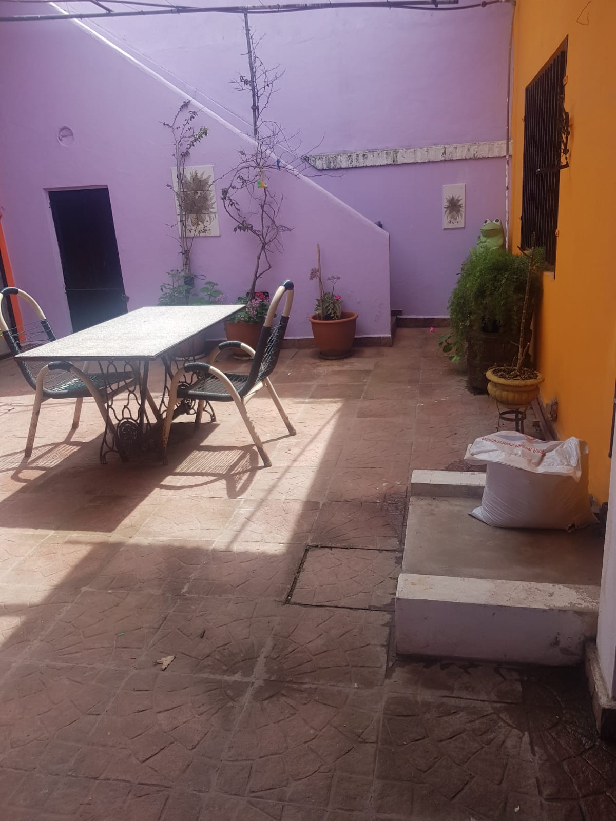 Imagen 9