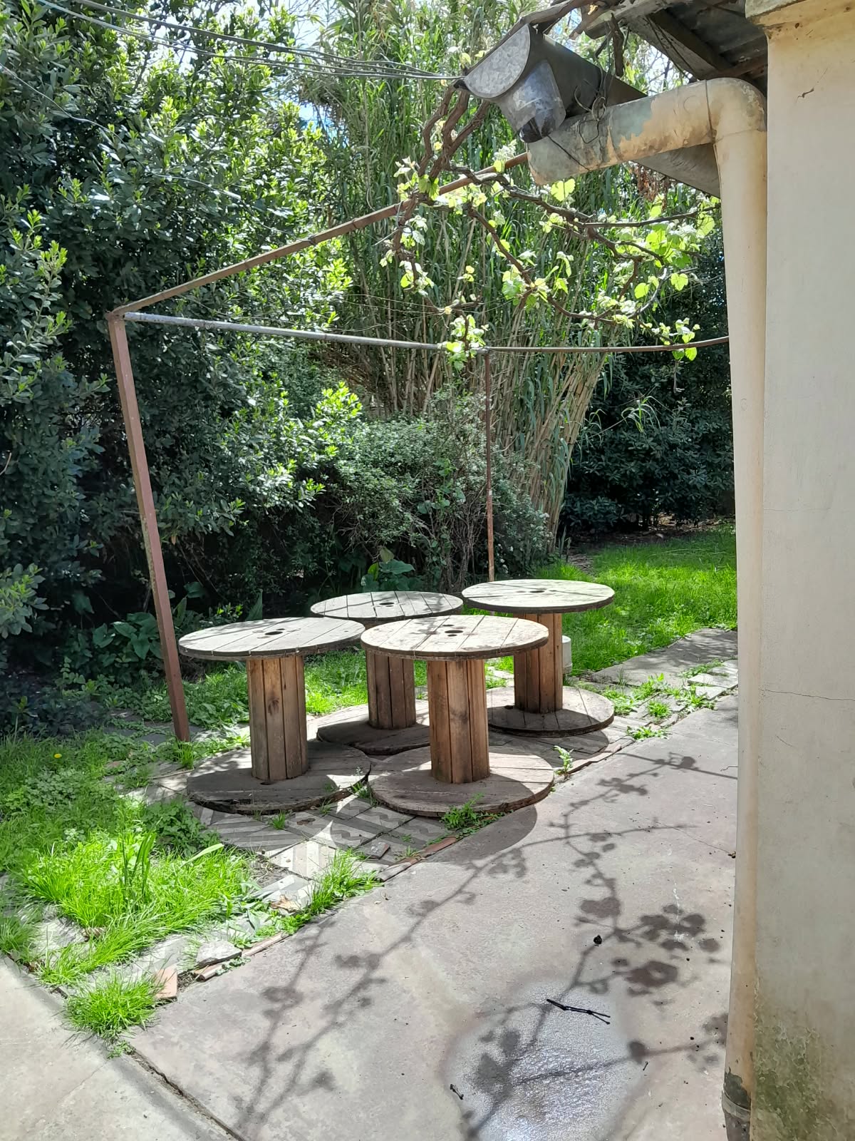 Imagen 10