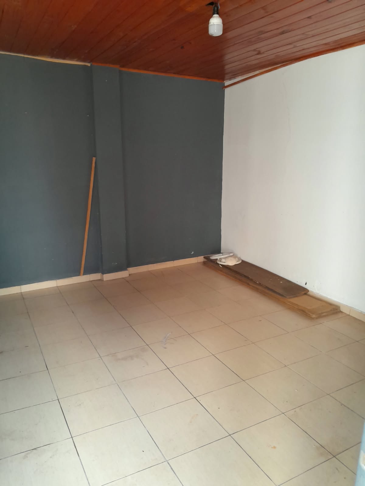 Imagen 8