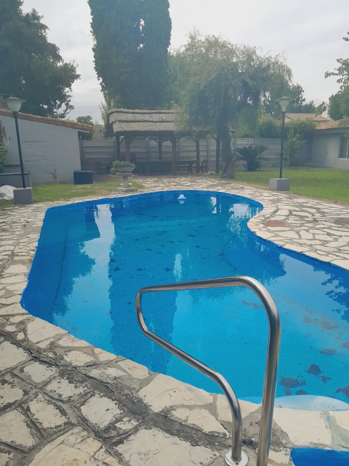 Imagen 4