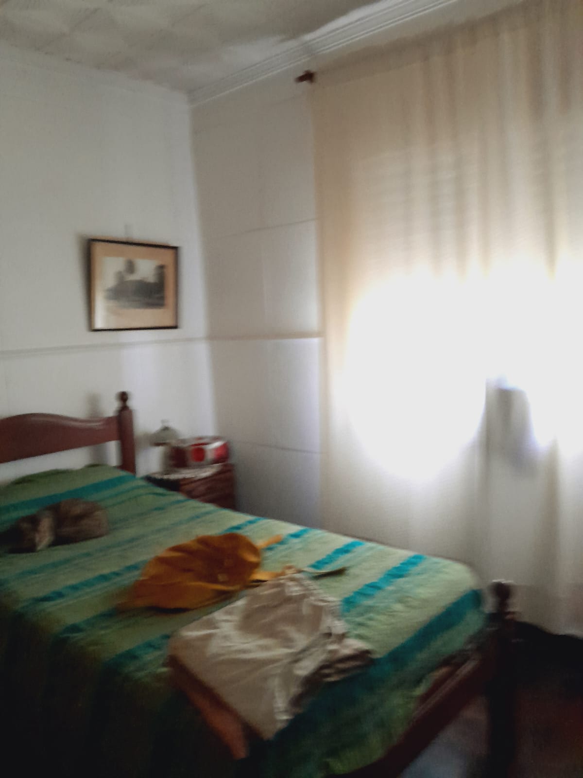 Imagen 7