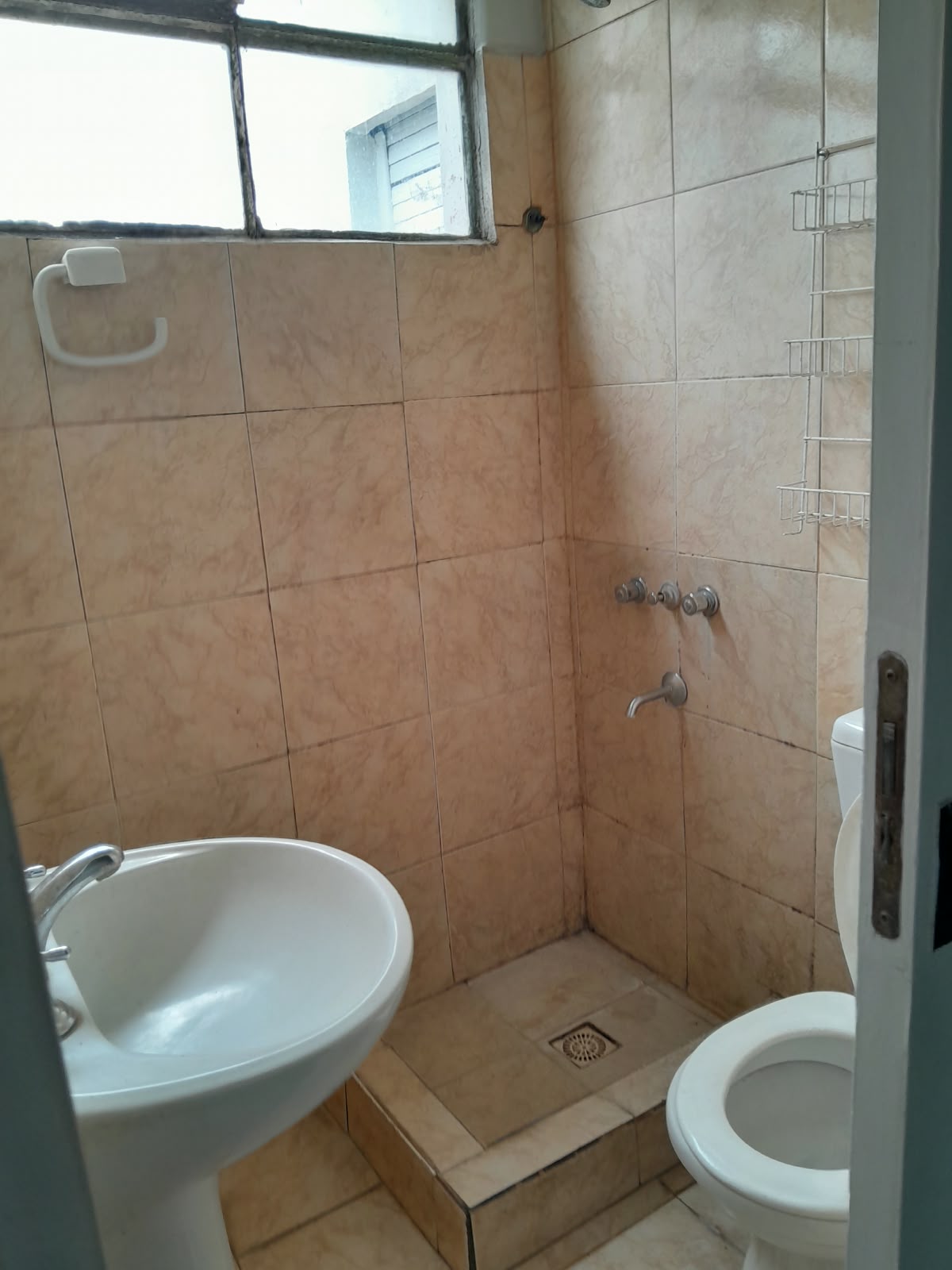 Imagen 7