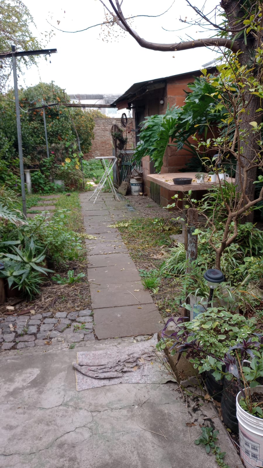 Imagen 11