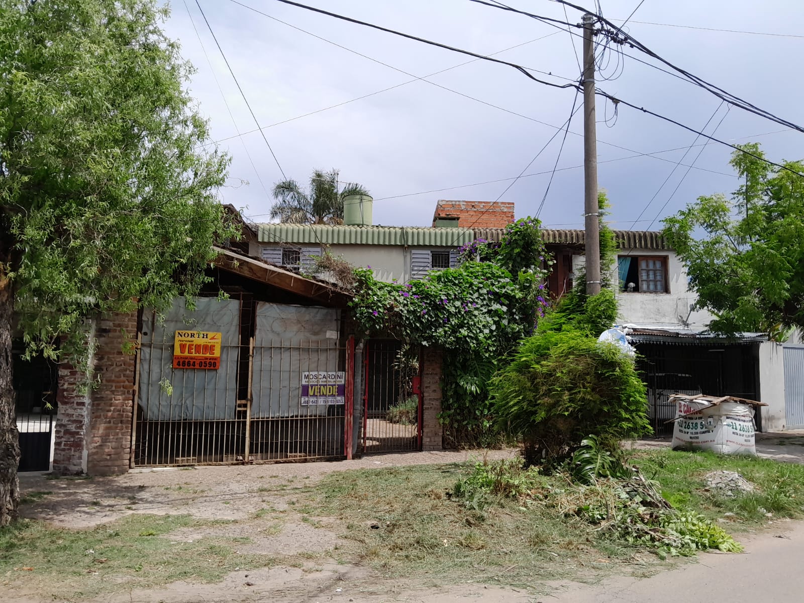 Imagen 16