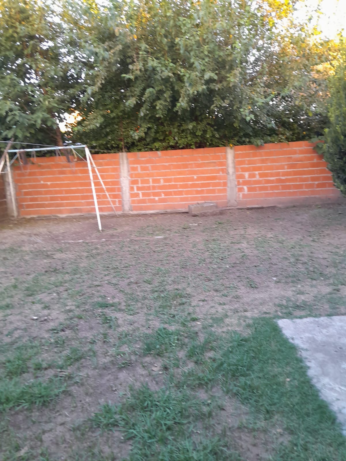 Imagen 15