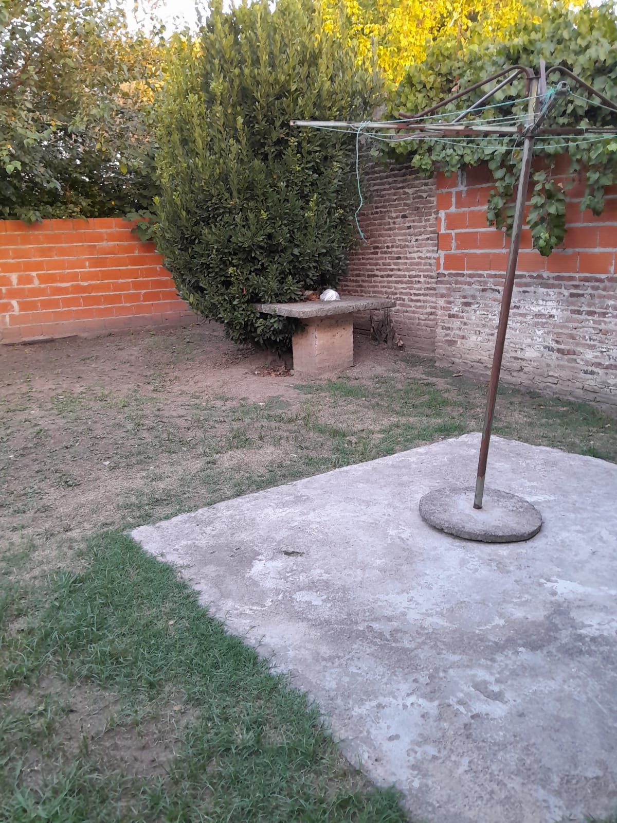 Imagen 17