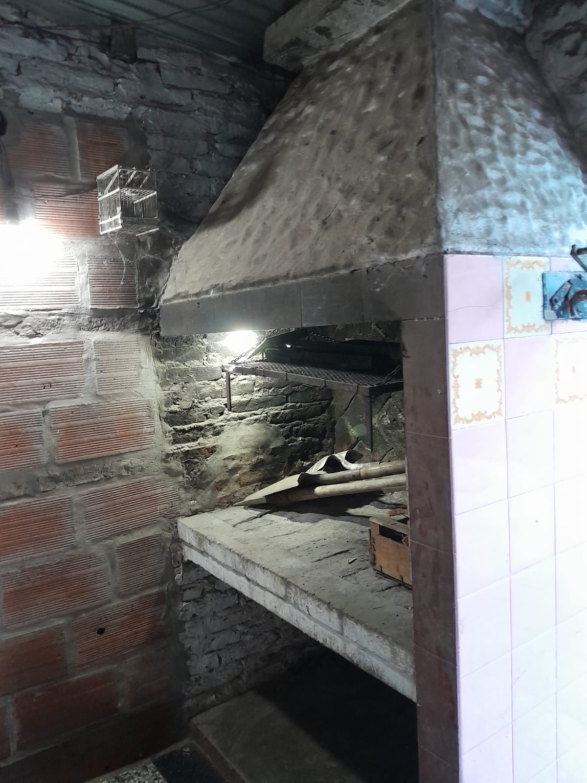 Imagen 19