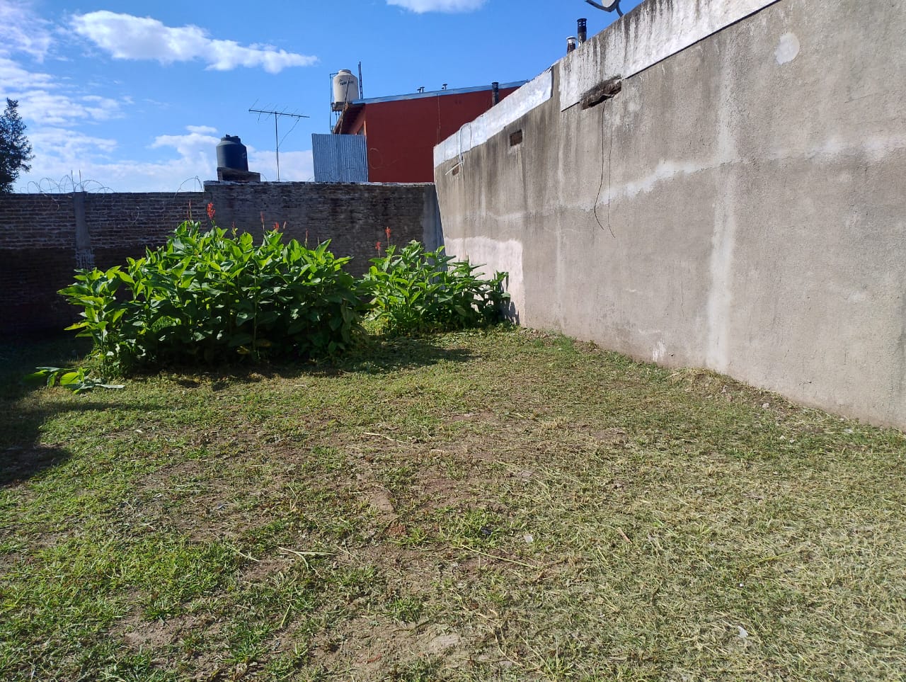 Imagen 4