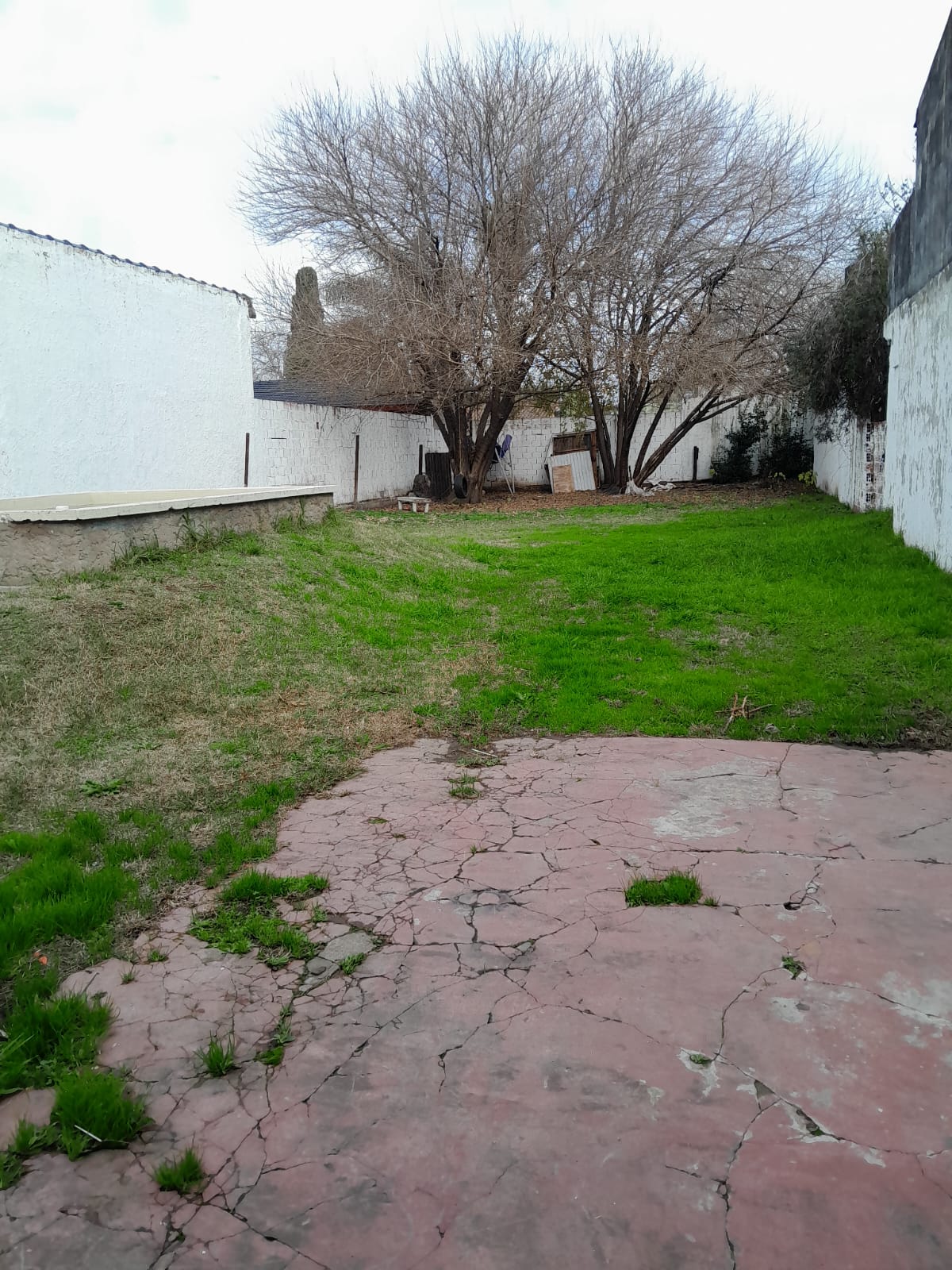 Imagen 3