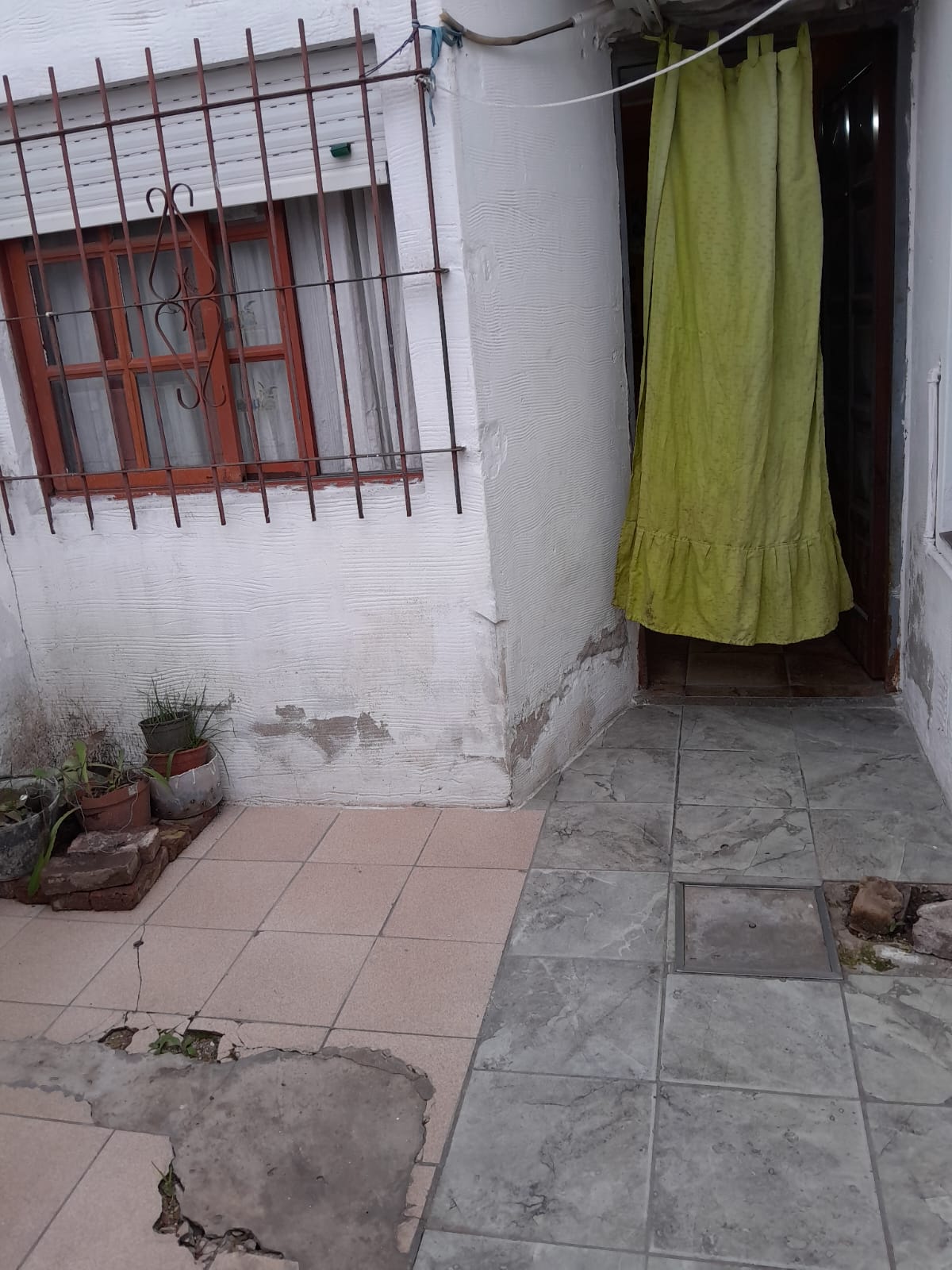 Imagen 2
