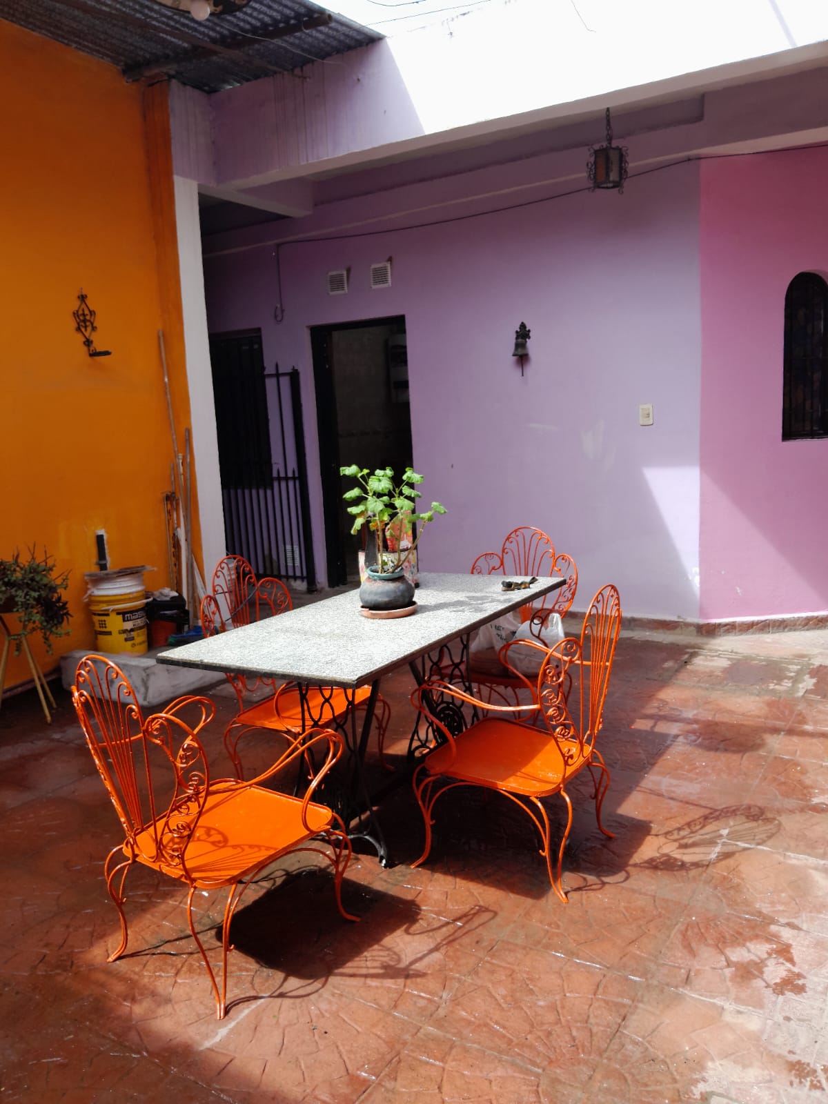 Imagen 11