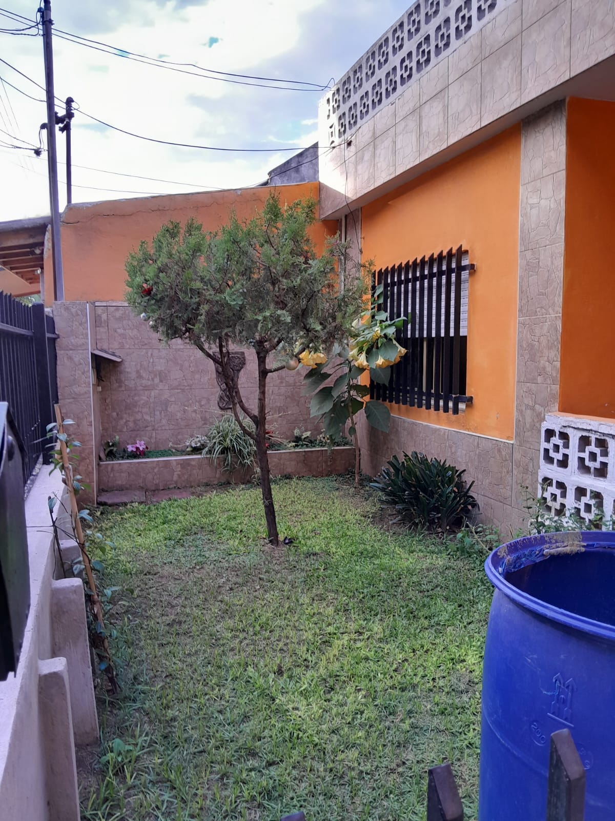 Imagen 1